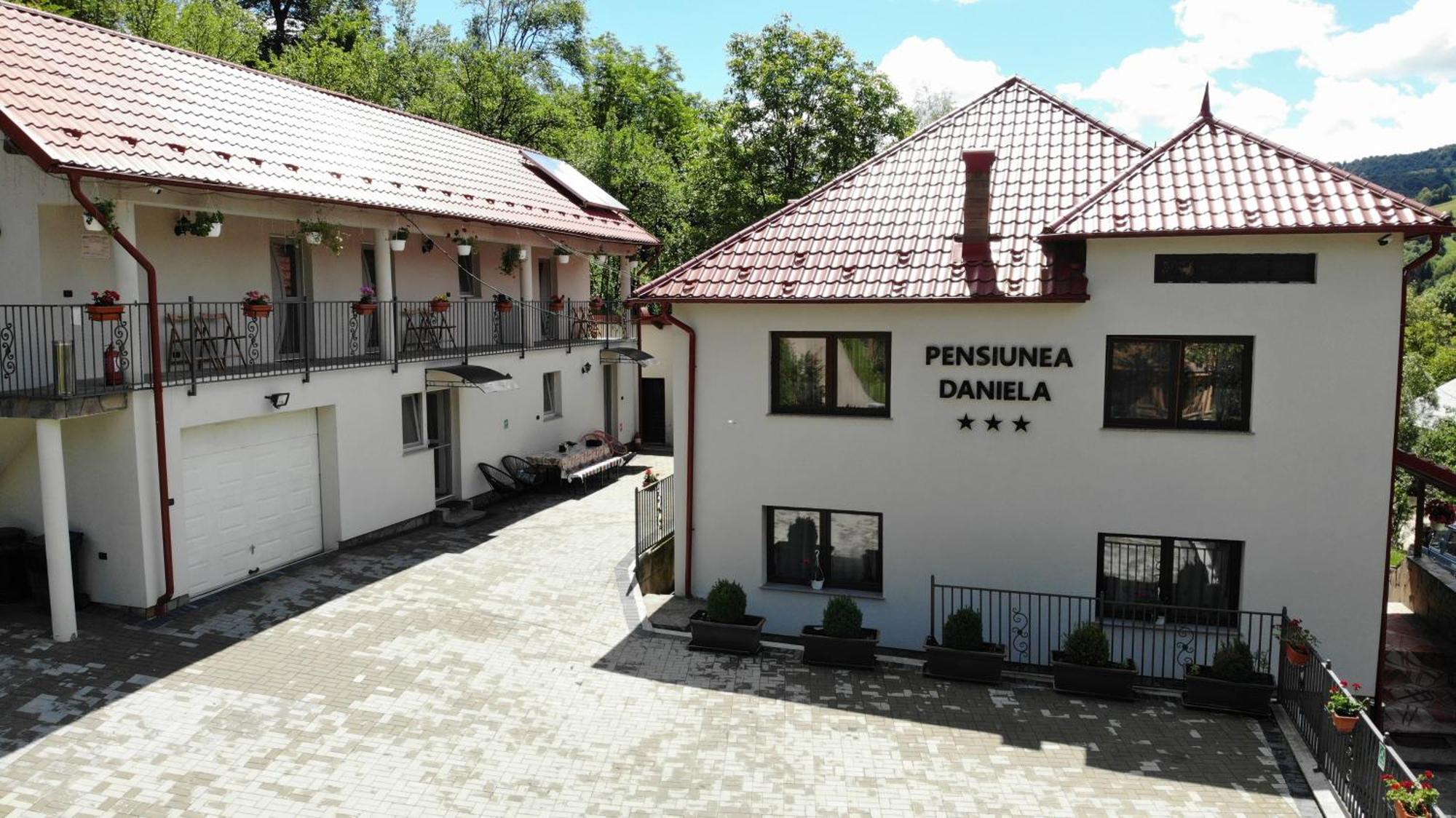 Pensiunea Daniela Moisei Bagian luar foto